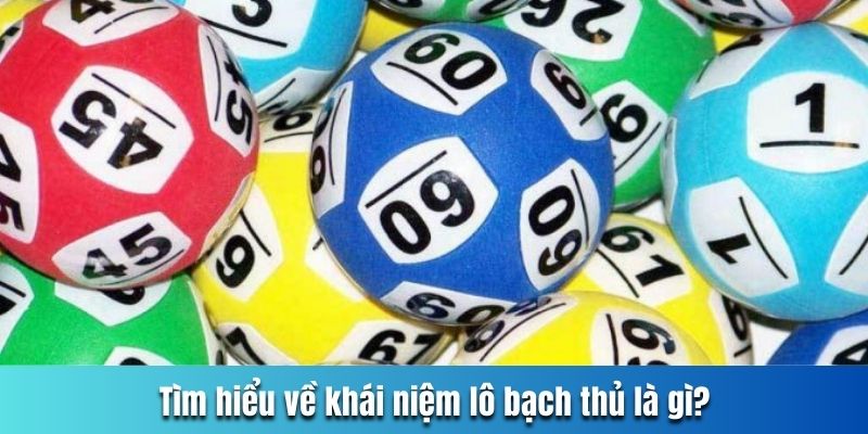 Tìm hiểu về khái niệm lô bạch thủ là gì?